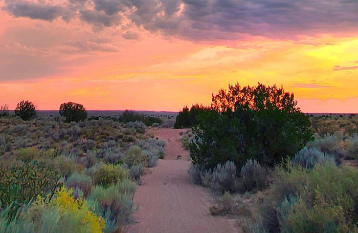 New Mexico desert at dusk