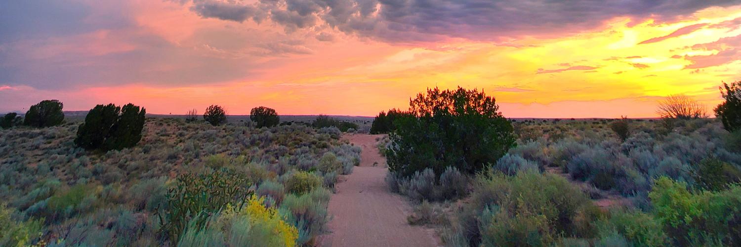 dirt path through the desert