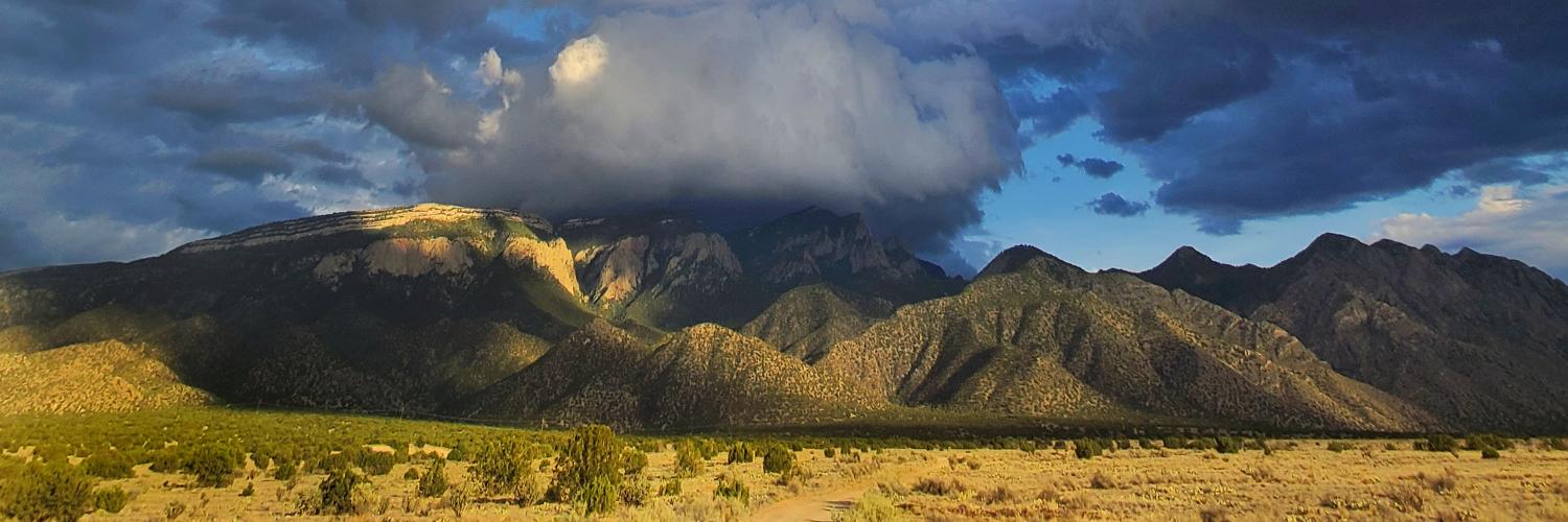 New Mexico landscape