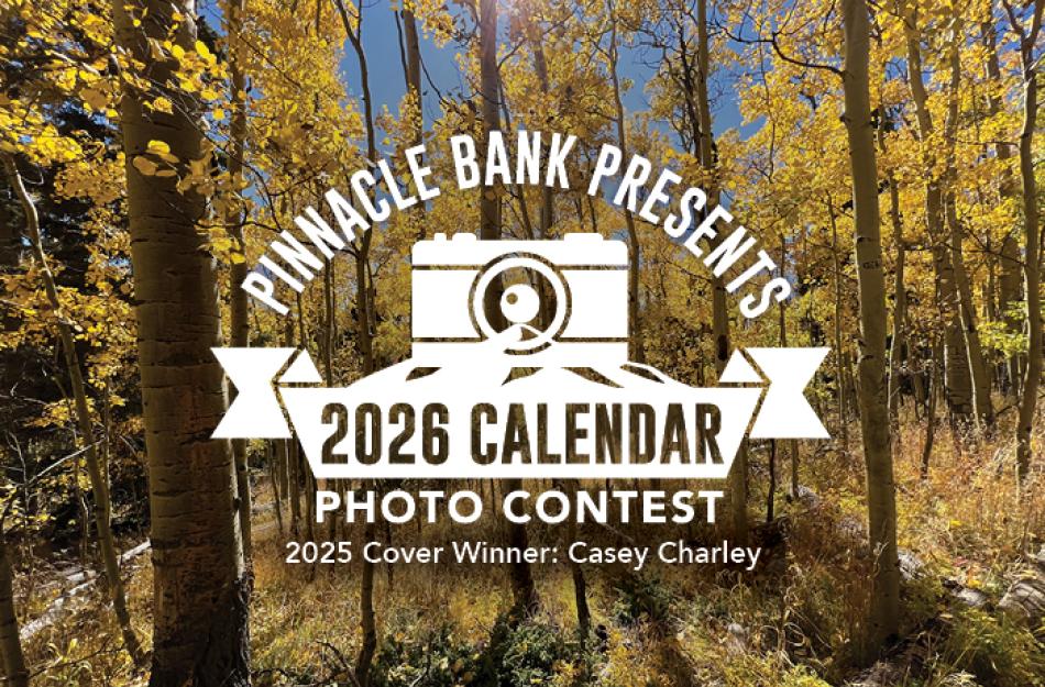 Calendar Contest